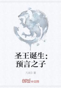 圣王诞生：预言之子封面