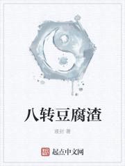 八转豆腐渣封面