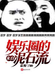 来自娱乐圈的泥石流封面