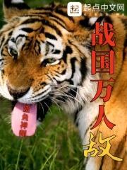 战国万人敌封面
