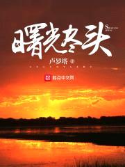 曙光尽头封面