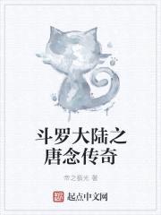 斗罗大陆之唐念传奇封面