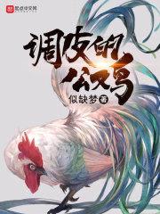 调皮的公鸡封面
