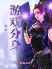 全职游戏分身封面