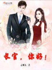 长官，你好！封面