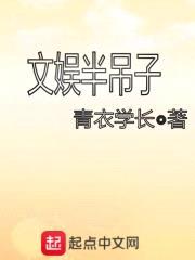 半吊子明星封面
