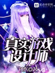 真实游戏设计师封面