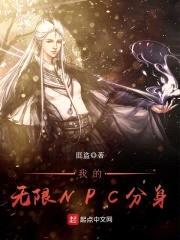 我的无限NPC分身封面