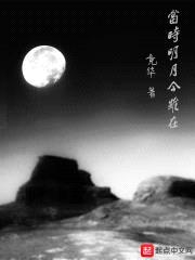 当时明月今虽在封面