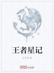 王者星记封面