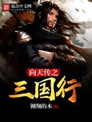 向天传之三国行封面
