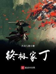 终极家丁封面