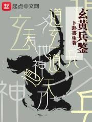 玄黄兵鉴封面