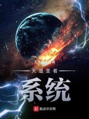 天道圣者系统封面