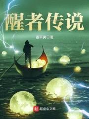 醒者传说封面