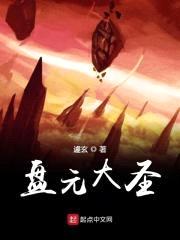 盘元大圣封面