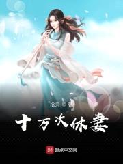 十万次休妻封面