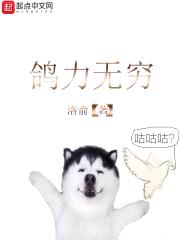 鸽力无穷封面