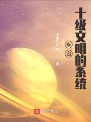 来自十级文明的系统封面