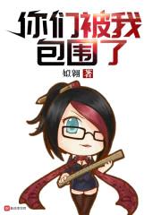 你们被我包围了封面
