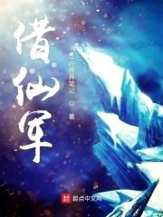 借仙军封面