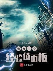 我有一个经验值面板封面