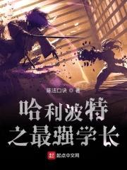 哈利波特之最强学长封面