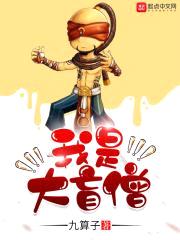 我是大盲僧封面