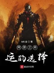 网游之命运的选择封面