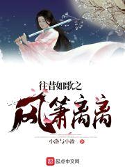 往昔如歌之风萧离离封面