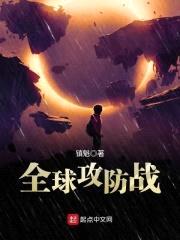 全球攻防战封面