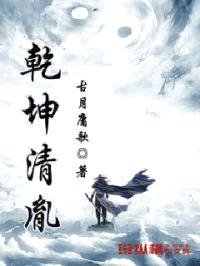 乾坤清胤封面