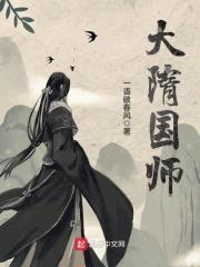 大隋国师封面