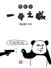 木叶之一拳之威封面