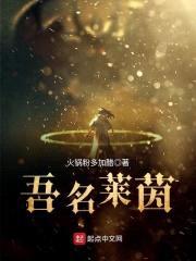 吾名莱茵封面