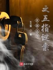 英雄无华之五指谜案封面