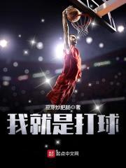 我就是打球封面