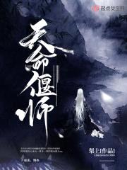 天命偃师封面