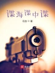 谍海谍中谍封面