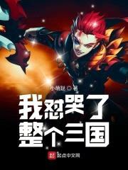 我怼哭了整个三国封面