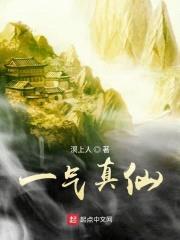 一气真仙封面