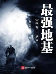 我有一块最强地基封面