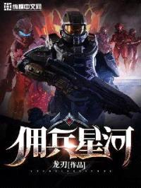 佣兵星河封面