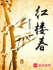 红楼春封面