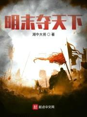 明末夺天下封面