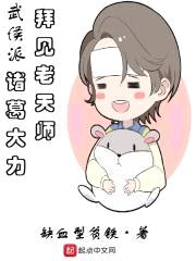 武侯派诸葛大力拜见老天师封面