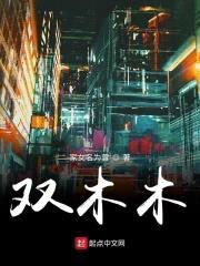 灵界之主之双灵封面