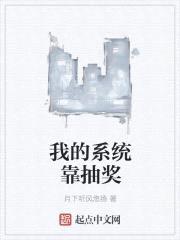 我的系统靠抽奖封面
