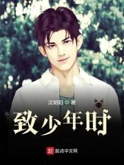 致少年时封面