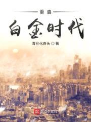 重启白金时代封面